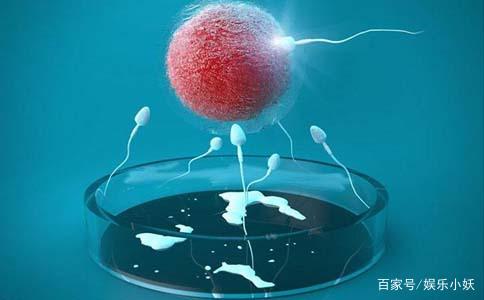 患者经验分享:广州试管婴儿详细流程