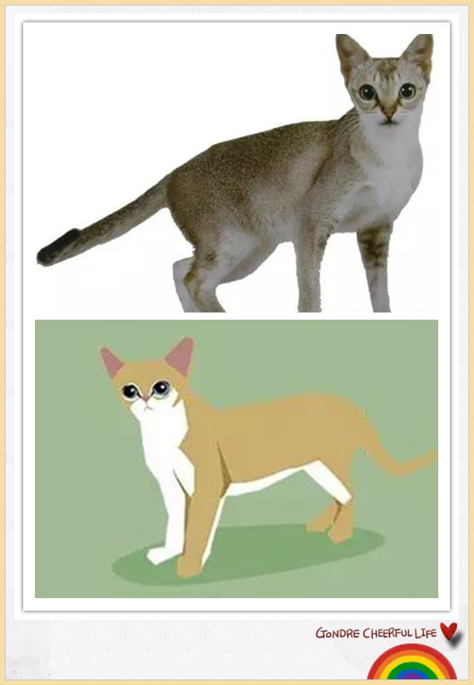 猫咪插画手绘图片,各种猫咪萌化图片