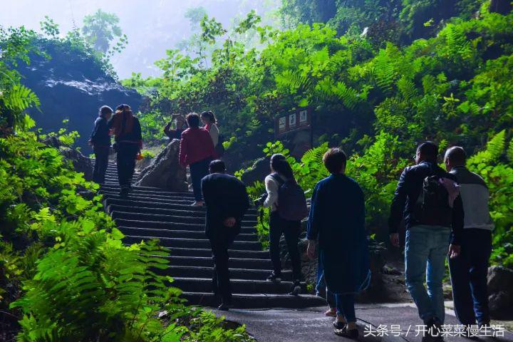 巴马为什么被称为长寿之乡的原因,世界长寿之乡巴马记录篇