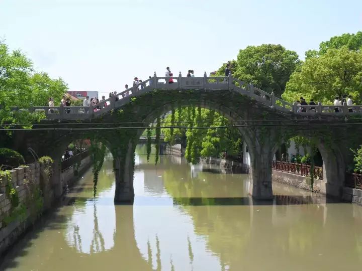 万万没想到！它低调了450多年，却因上海迪士尼一夜间火遍全国！