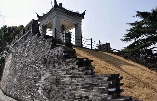 万万没想到！它低调了450多年，却因上海迪士尼一夜间火遍全国！