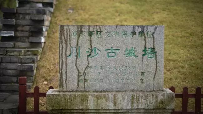 万万没想到！它低调了450多年，却因上海迪士尼一夜间火遍全国！