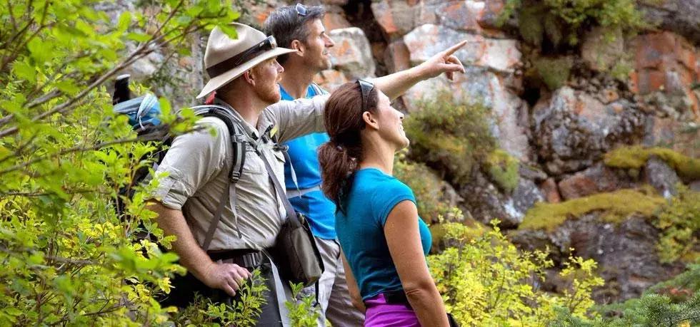加拿大外星酒店,国外外星酒店
