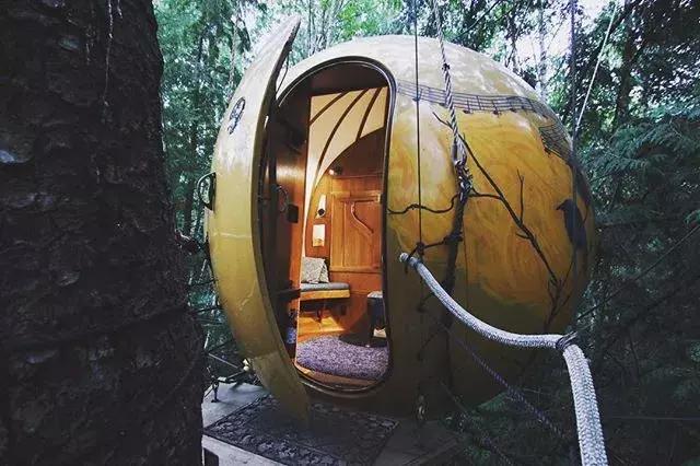 加拿大外星酒店,国外外星酒店