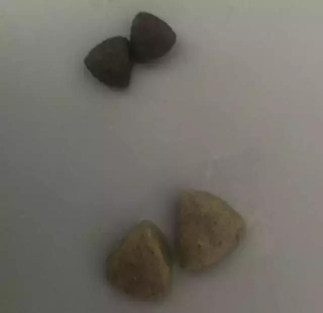 海洋之星质量好吗,海洋之星新品测评