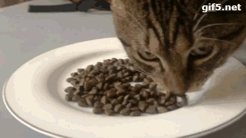 海洋之星质量好吗,海洋之星新品测评