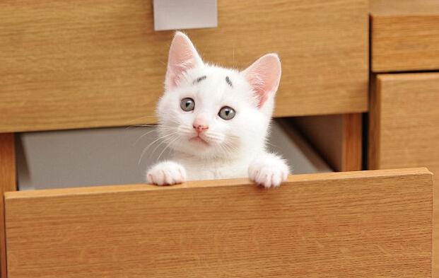 居安思危中国产业,居安思危强国防