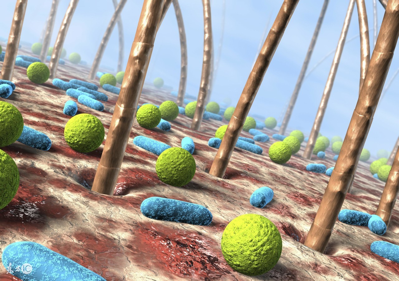 如何通过饮食来治疗毛囊炎呢