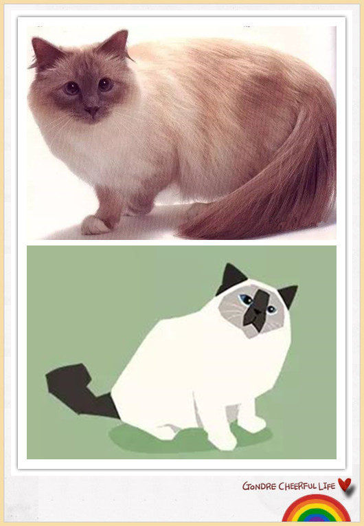 猫咪插画手绘图片,各种猫咪萌化图片