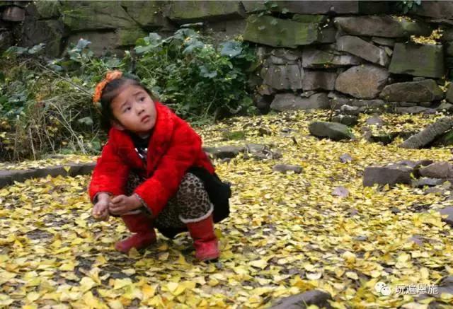 老屋基老街拍摄视频,老屋基古镇