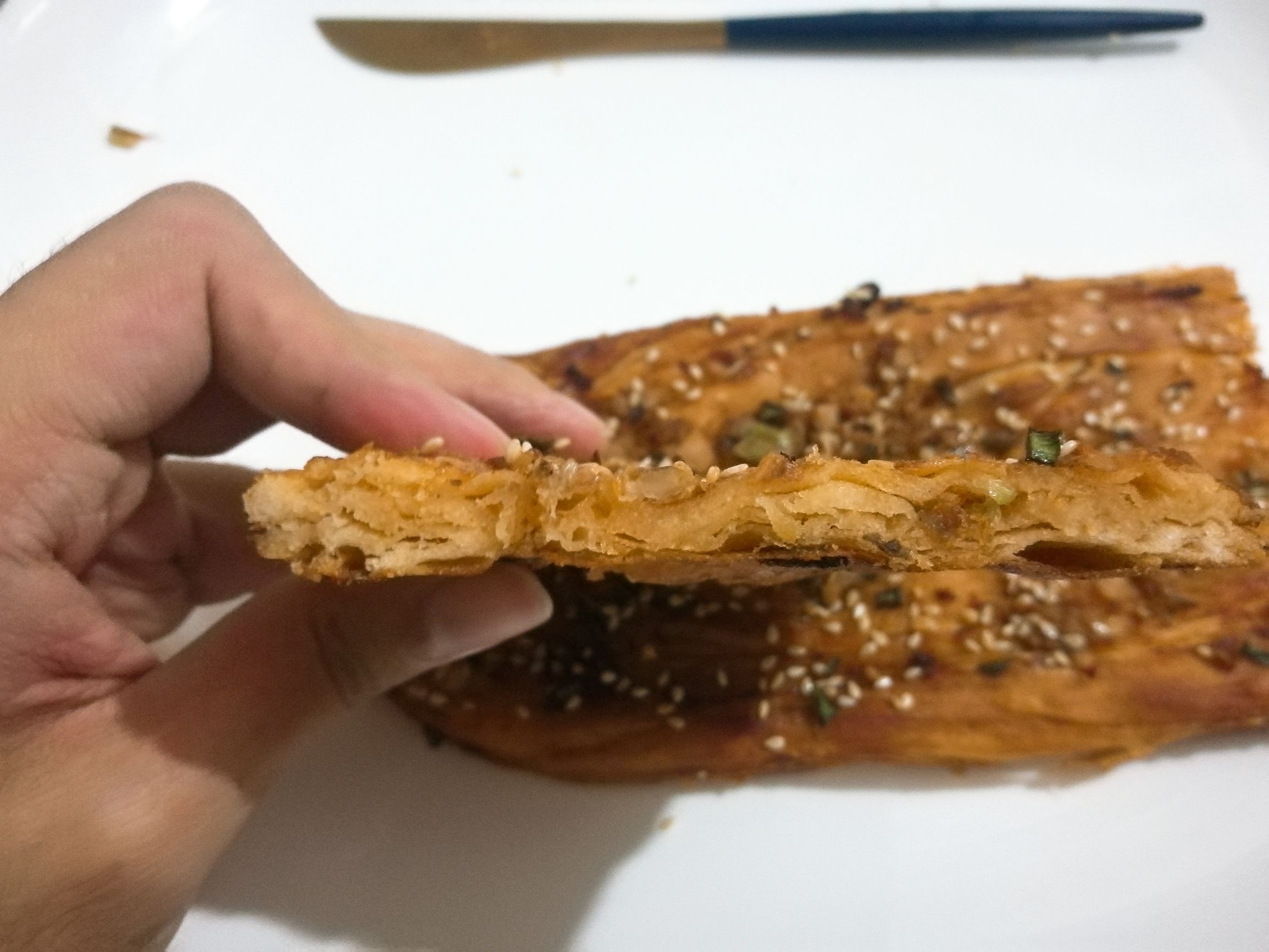 肉末脆烧饼,有特色的又卷烧饼测评