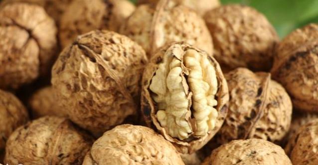 核桃种植不容易,农户大哥来教你,如何高产挣大钱