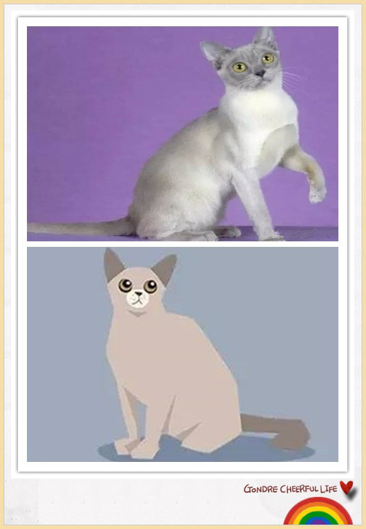 猫咪插画手绘图片,各种猫咪萌化图片