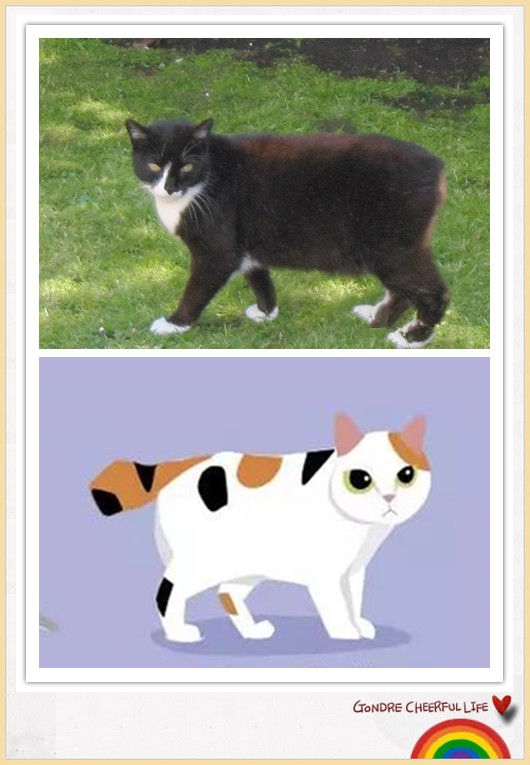 猫咪插画手绘图片,各种猫咪萌化图片