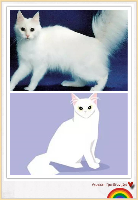 猫咪插画手绘图片,各种猫咪萌化图片