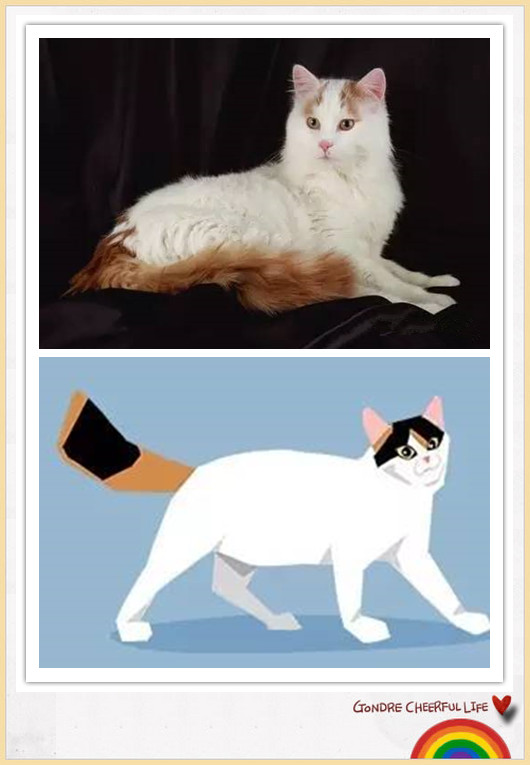 猫咪插画手绘图片,各种猫咪萌化图片