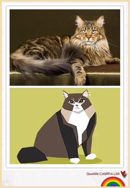 猫咪插画手绘图片,各种猫咪萌化图片