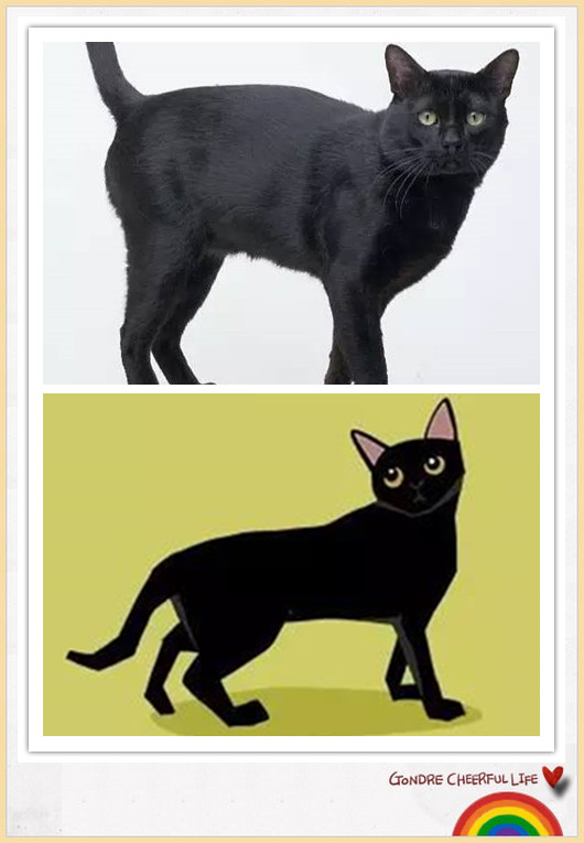 猫咪插画手绘图片,各种猫咪萌化图片