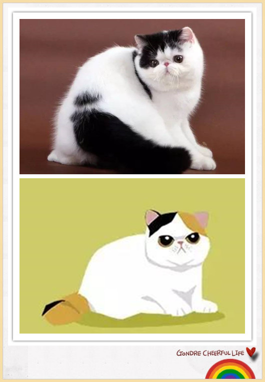 猫咪插画手绘图片,各种猫咪萌化图片