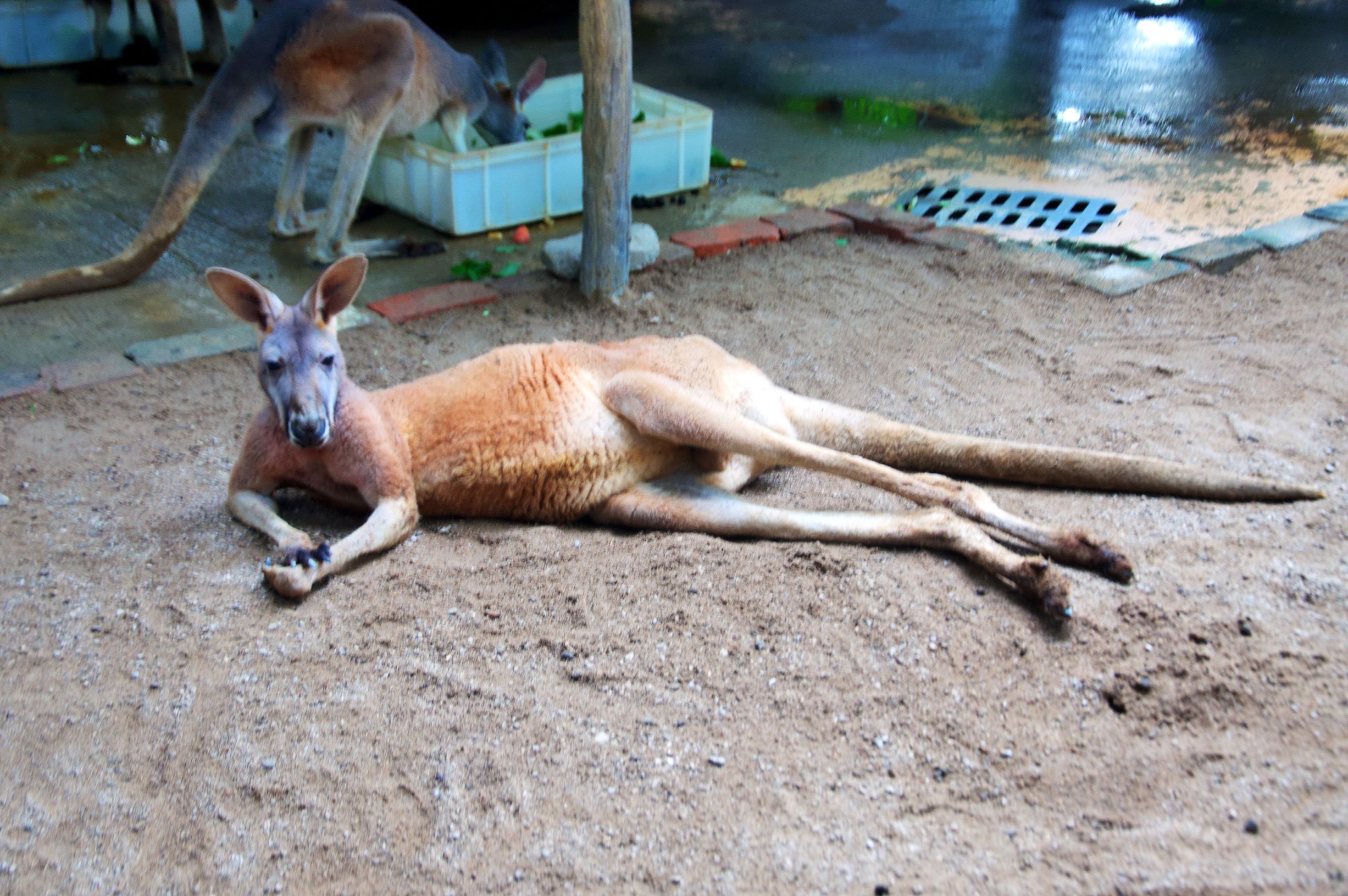 三亚度假之旅完美结束,三亚度假巨无霸五天五夜玩不腻