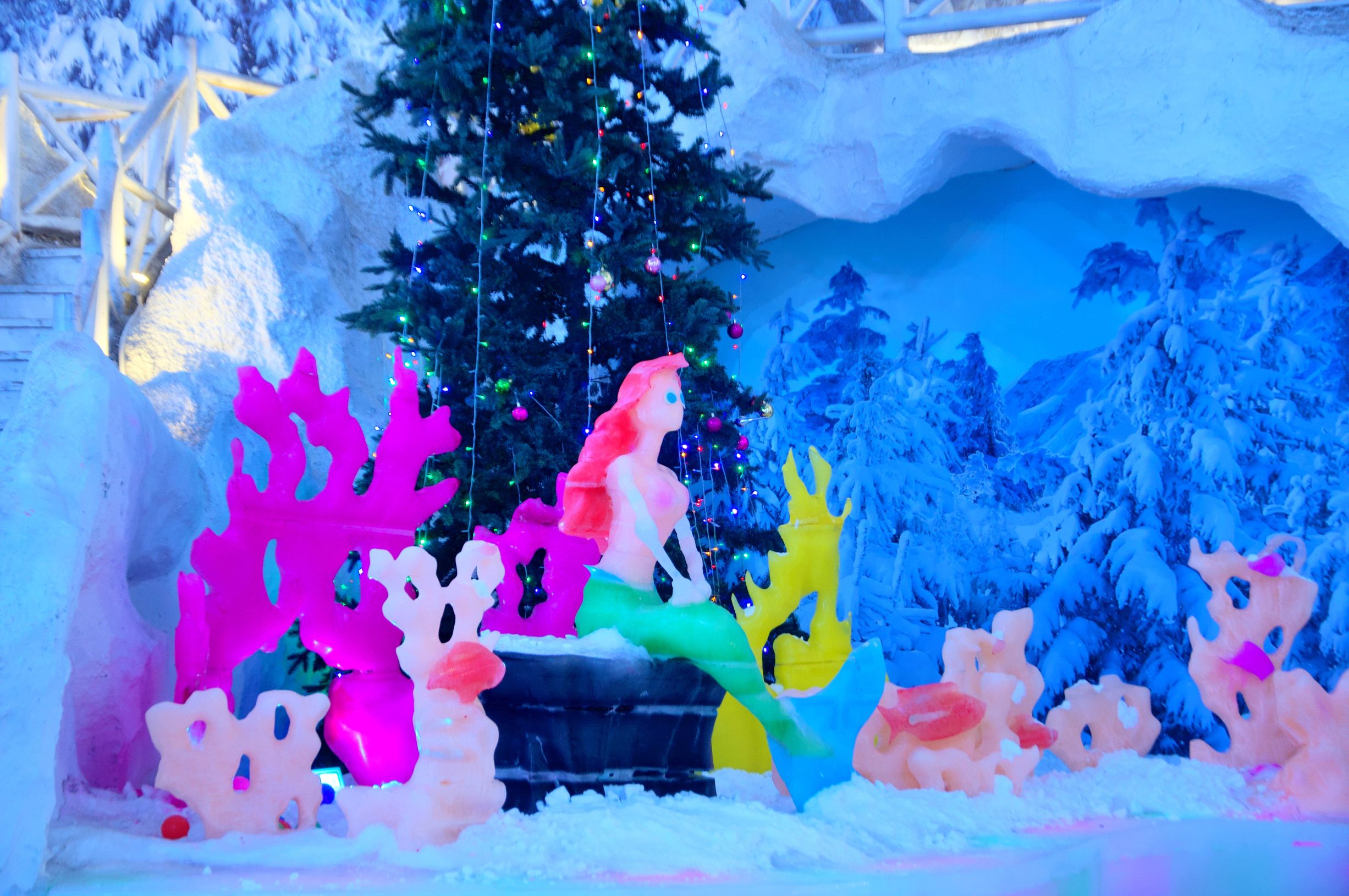 三亚度假之旅完美结束,三亚度假巨无霸五天五夜玩不腻