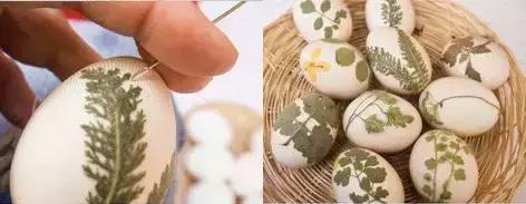 幼儿园鸡蛋的玩法大全,幼儿园护蛋绘画图片小男孩喜欢的