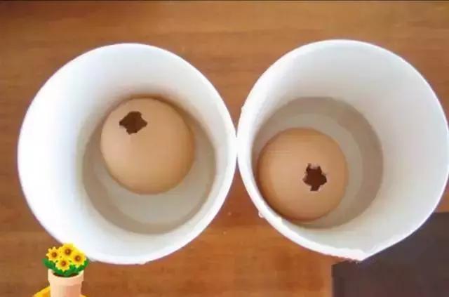 幼儿园鸡蛋的玩法大全,幼儿园护蛋绘画图片小男孩喜欢的