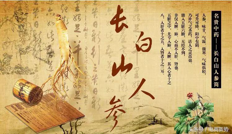 小棒槌,小棒槌大产业