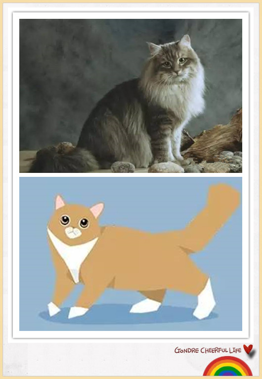 猫咪插画手绘图片,各种猫咪萌化图片