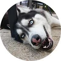 甜到爆的恋爱日常手绘,手绘情侣日常恋爱日记