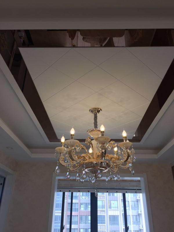 装修设计师把房子设计到很大气,设计师把公寓装修成花园