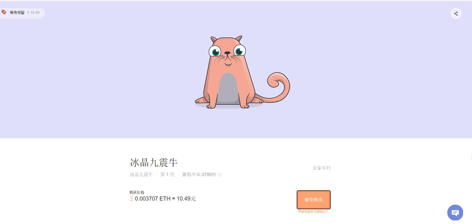 云养猫创新,云养猫系列视频