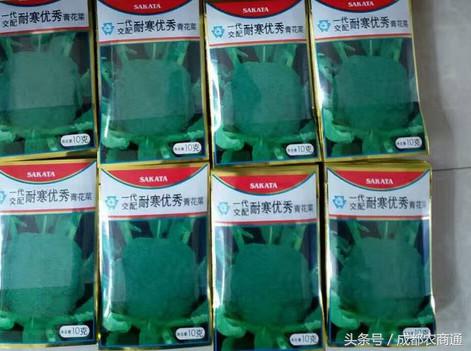 进口种子价格一览表,进口种子按粒卖