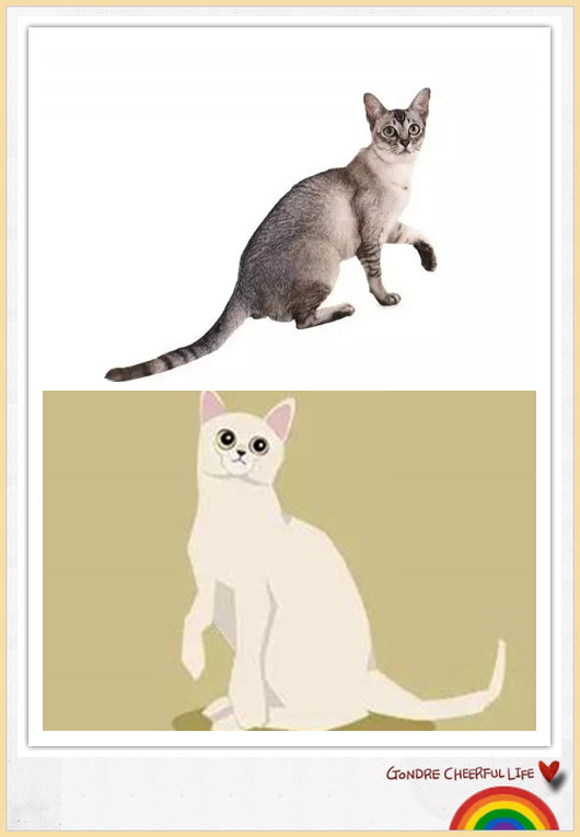 猫咪插画手绘图片,各种猫咪萌化图片
