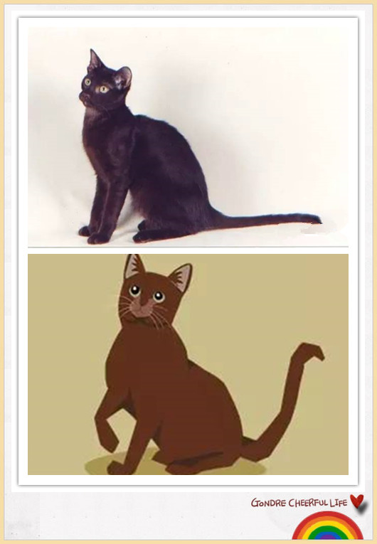 猫咪插画手绘图片,各种猫咪萌化图片