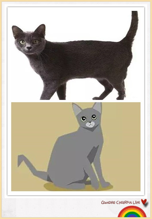 猫咪插画手绘图片,各种猫咪萌化图片