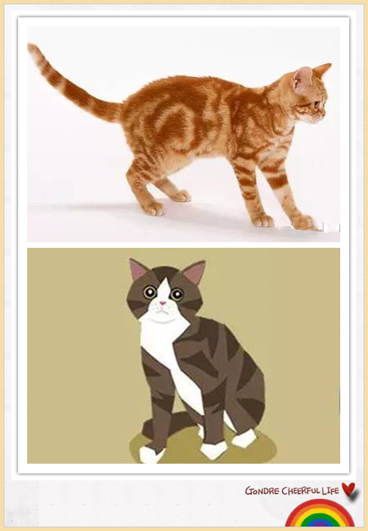猫咪插画手绘图片,各种猫咪萌化图片