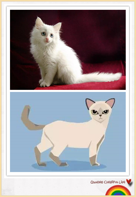 猫咪插画手绘图片,各种猫咪萌化图片