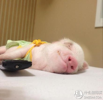 青春旅社何穗游泳,青春旅社何穗微博