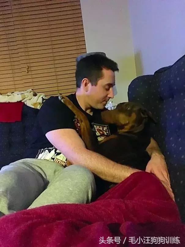 养了这么久的狗竟然又初恋了,养了多年的狗突然接近我