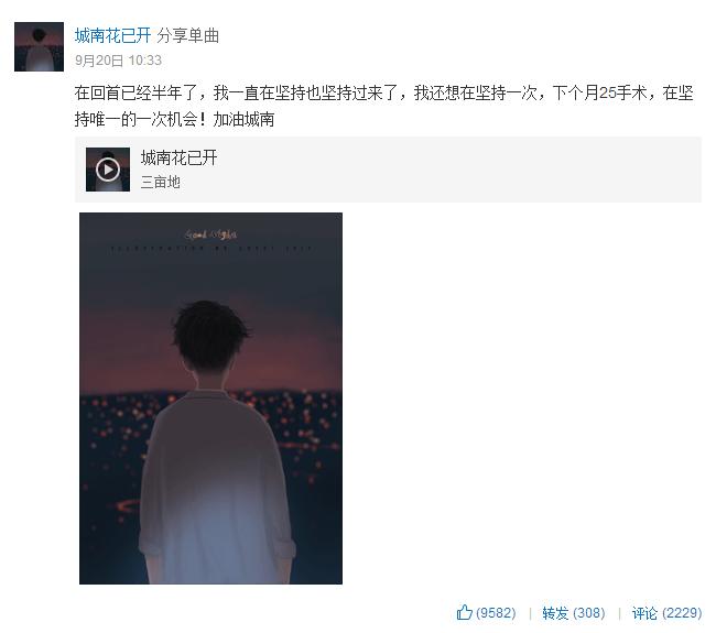 网易云十大感人催泪热评,网易云城南花已开的故事