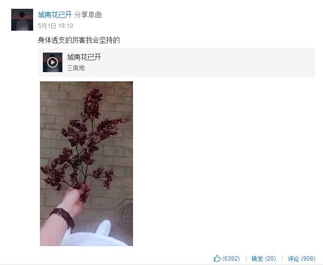 网易云十大感人催泪热评,网易云城南花已开的故事