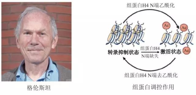 造酒,酿醋,拿诺奖:“下得了厨房上得了厅堂”的神奇酵母