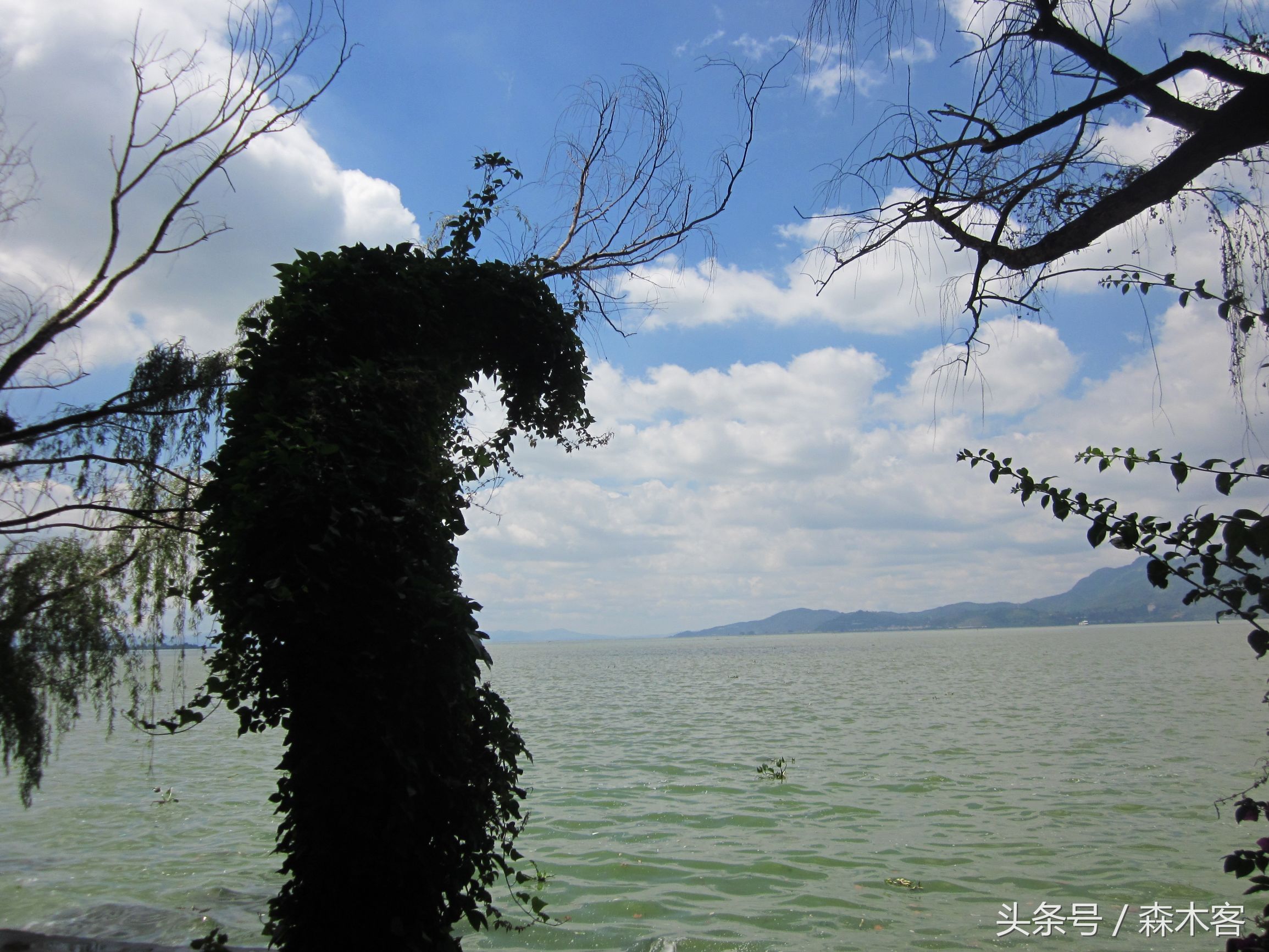 昆明旅游必打卡滇池后海,彩云之南滇池之旅