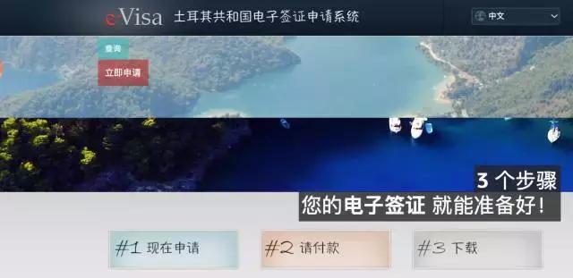 天啊！土耳其签证最全的手把手教学，看这篇就够了！