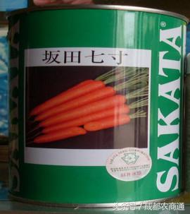 进口种子价格一览表,进口种子按粒卖