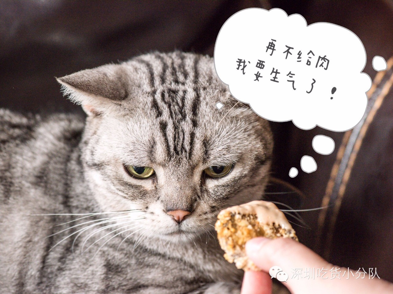 第3家店,但新来的两个男店长都不是人...