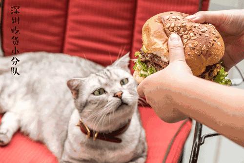 第3家店,但新来的两个男店长都不是人...