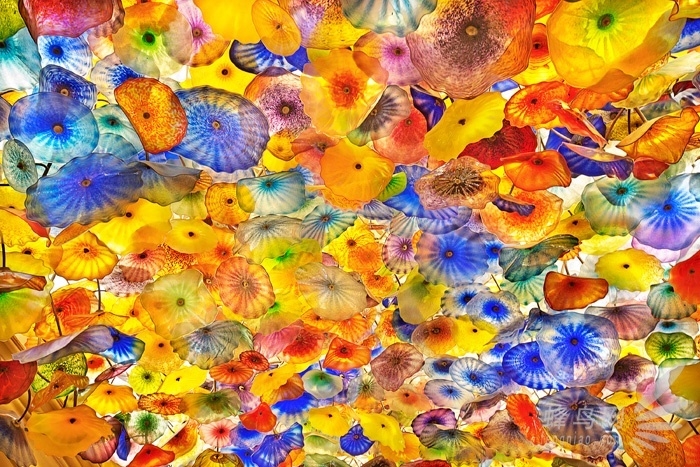 年度盛事腾龙行跟着大师去创作正式启动