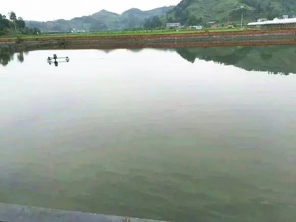 成都周边适合新手钓鱼的地方,成都2020十大免费钓鱼地方